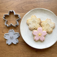 Embout de tuyauterie en acier inoxydable – Série à motifs décoratifs | Modèle n° 241