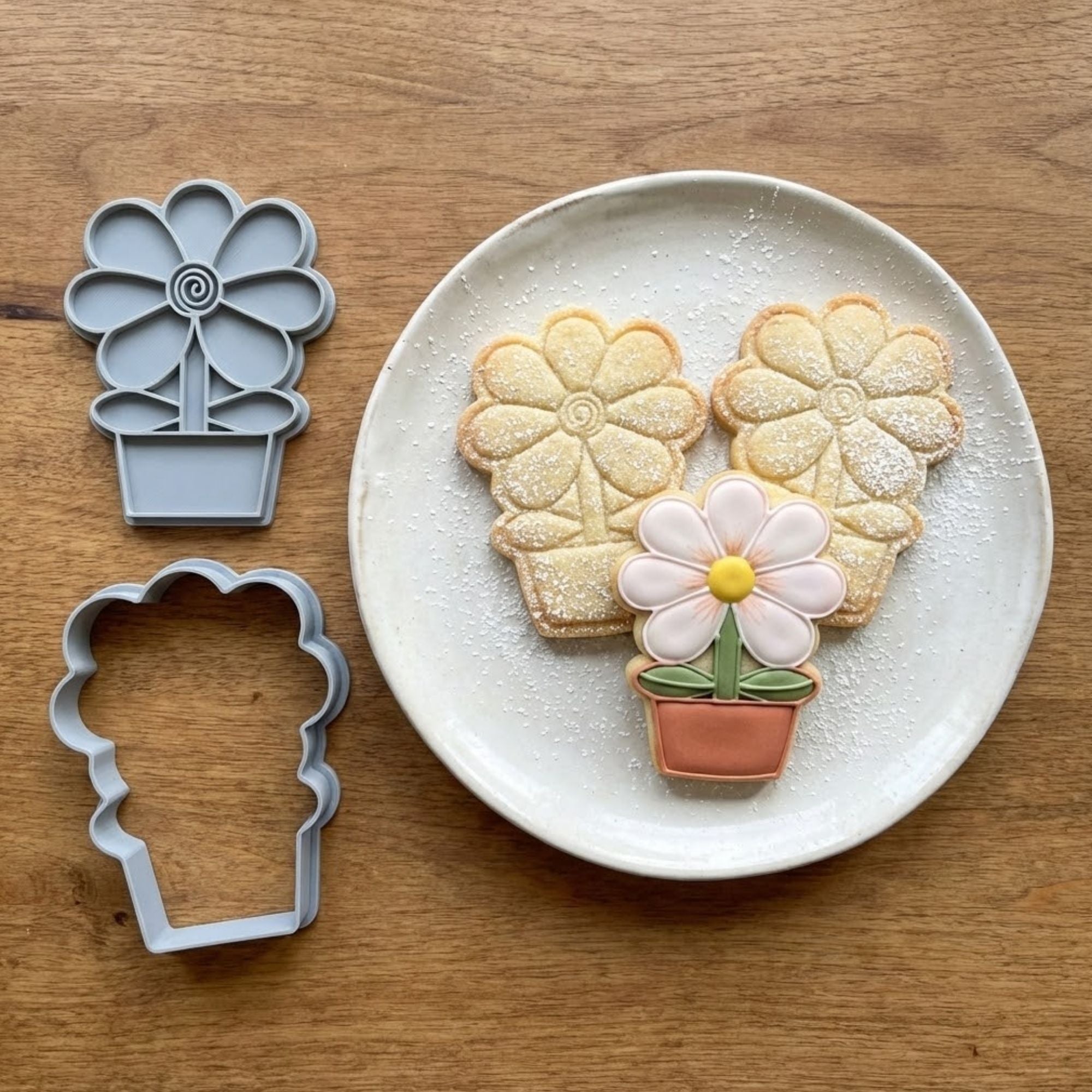 Embout de tuyauterie en acier inoxydable – Série à motifs décoratifs | Modèle n° 241