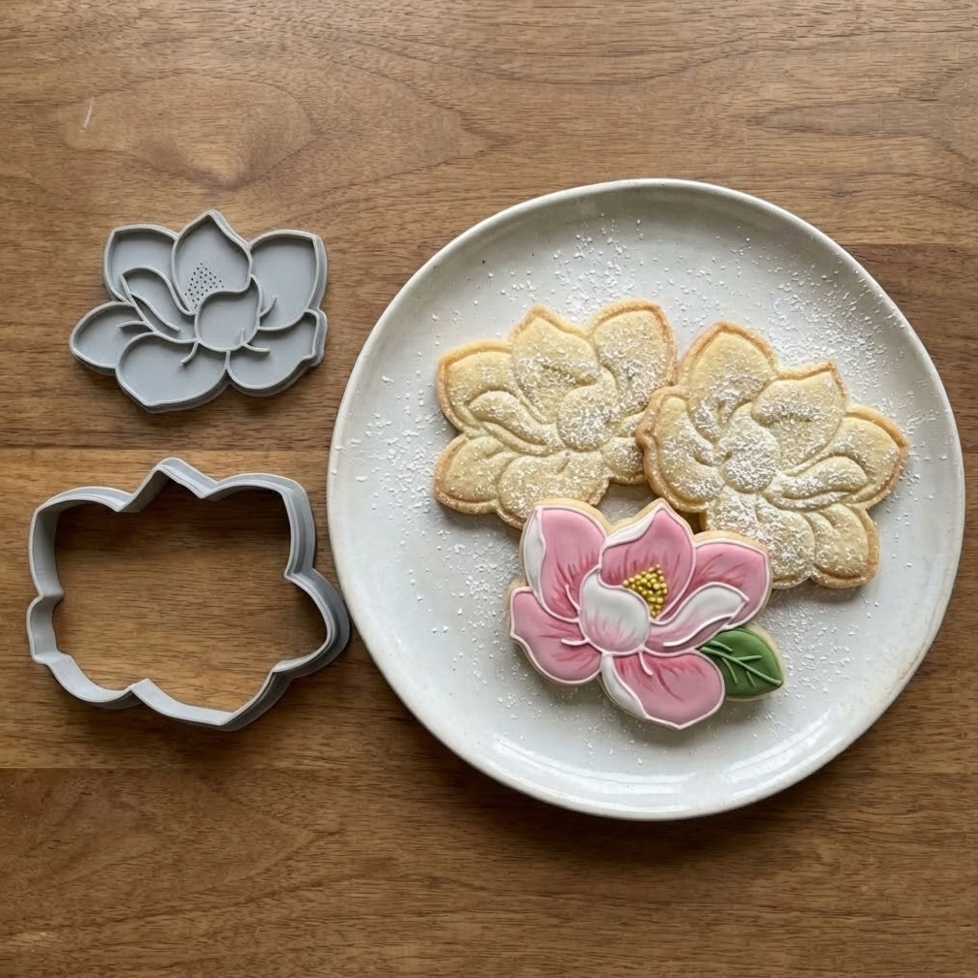 Embout de tuyauterie en acier inoxydable – Série à motifs décoratifs | Modèle n° 241