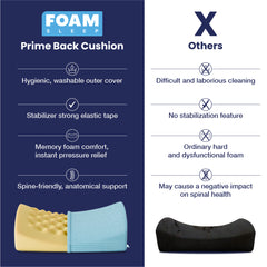 Prime Back Cushion
